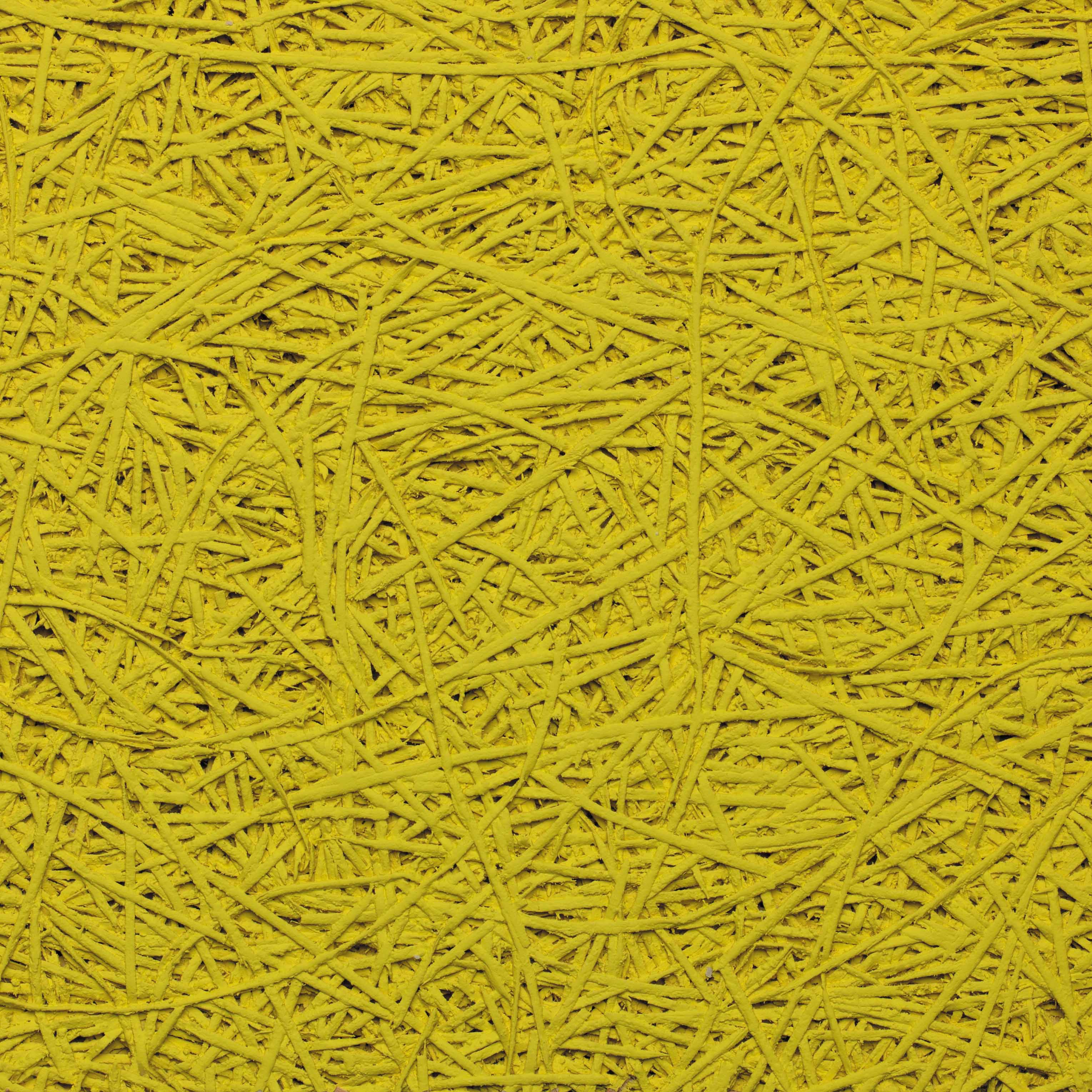 Organic - coloris Lemon.jpg